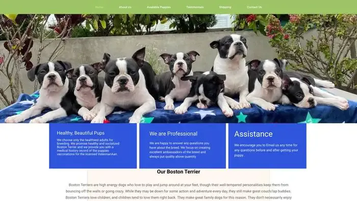 Screenshot of
