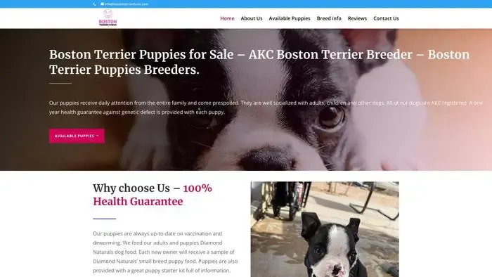 Screenshot of