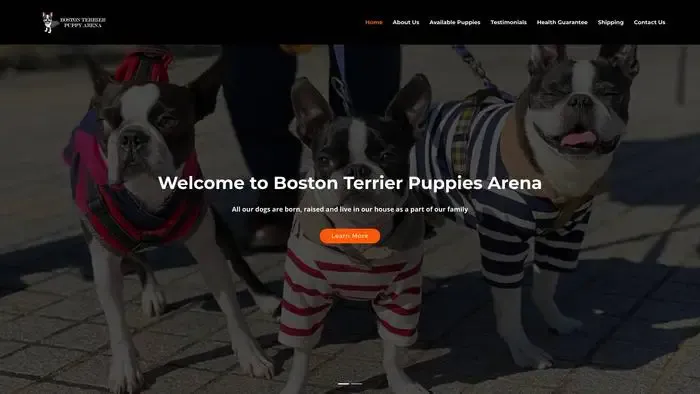 Screenshot of