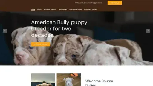 Screenshot of