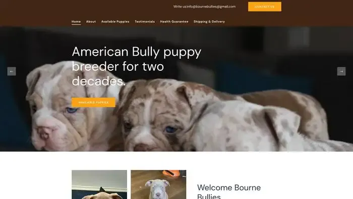 Screenshot of