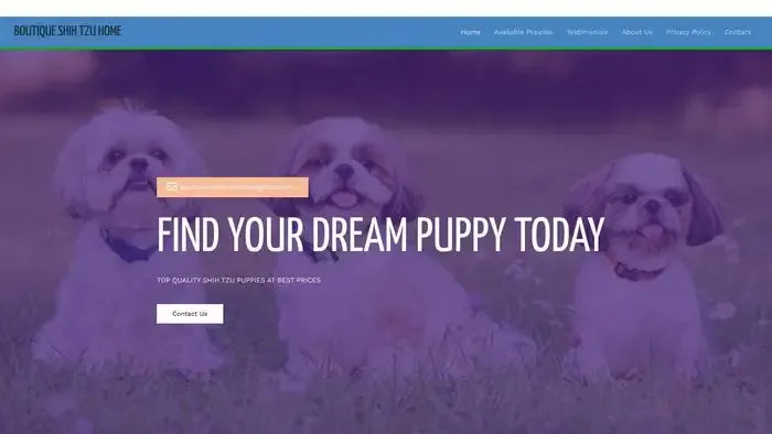 Screenshot of