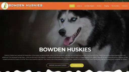 Screenshot of