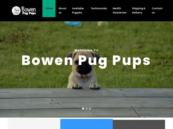 Screenshot of