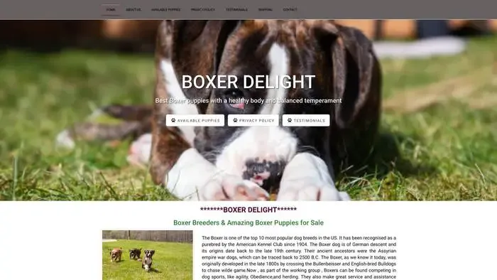 Screenshot of
