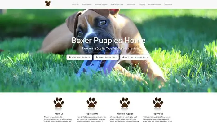 Screenshot of