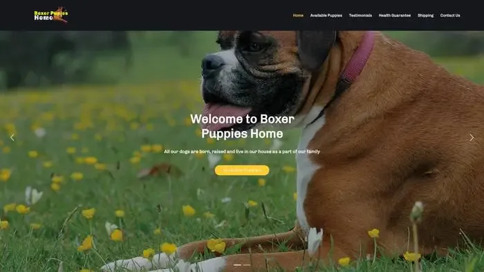 Screenshot of