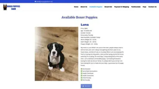 Screenshot of