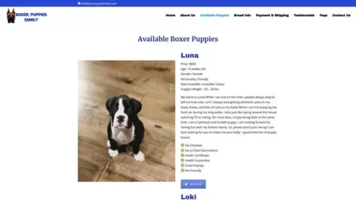 Screenshot of