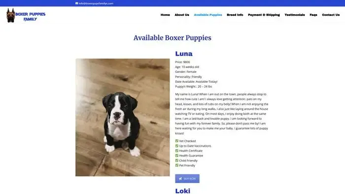Screenshot of