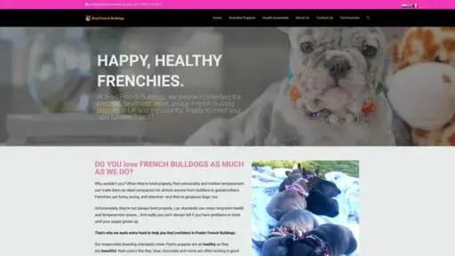 Screenshot of