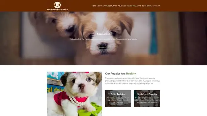 Screenshot of