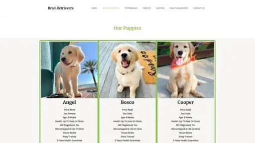 Screenshot of