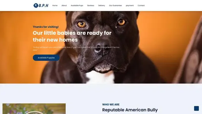 Screenshot of