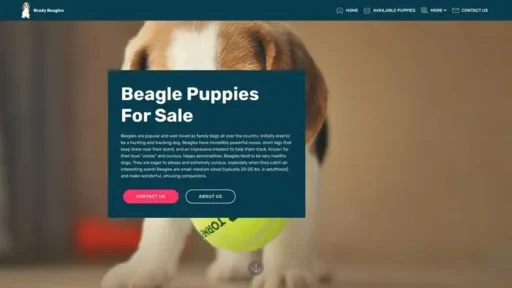 Screenshot of