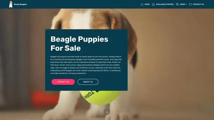 Screenshot of