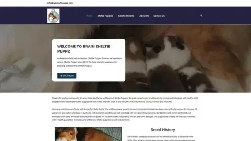 Screenshot of||