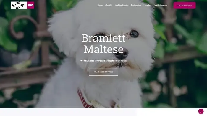 Screenshot of