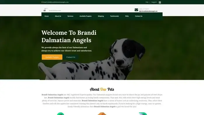 Screenshot of