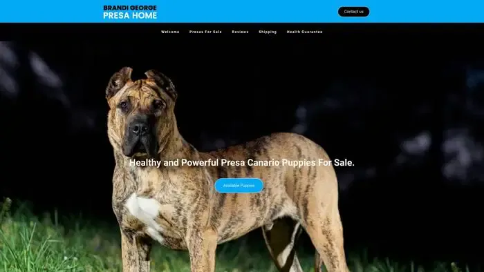 Screenshot of