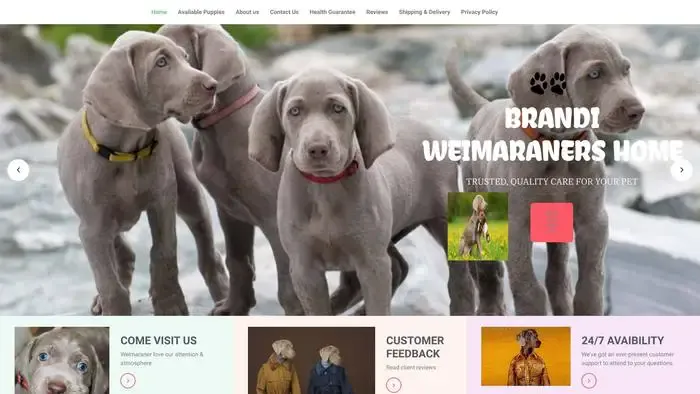 Screenshot of