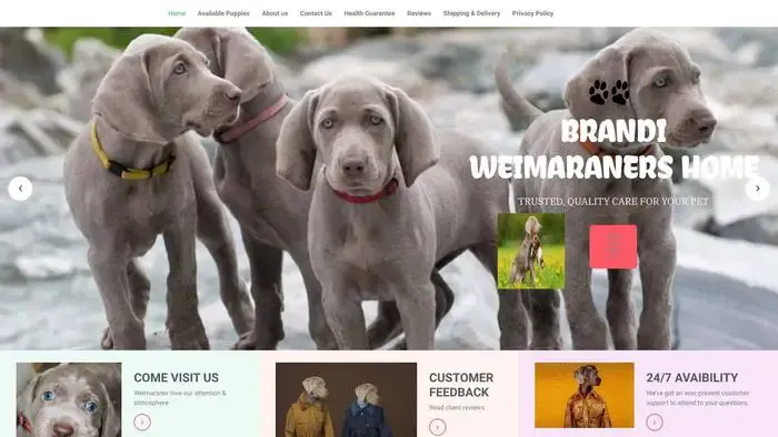 Screenshot of