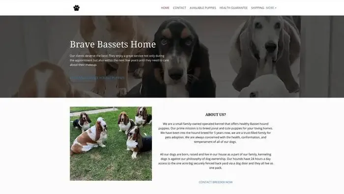 Screenshot of