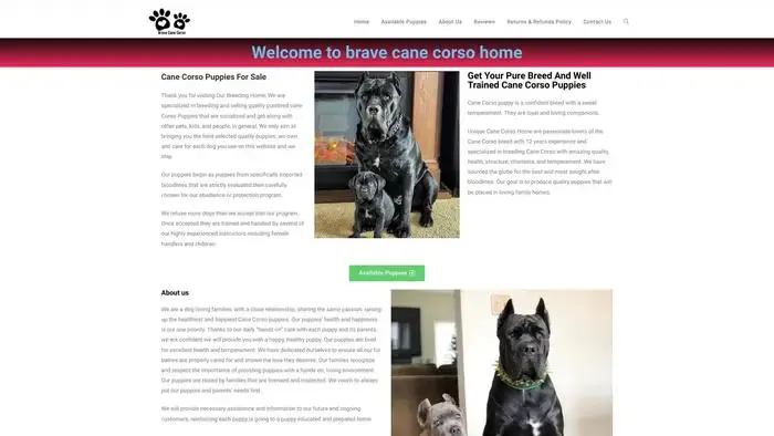 Screenshot of
