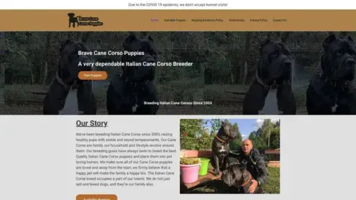 Screenshot of