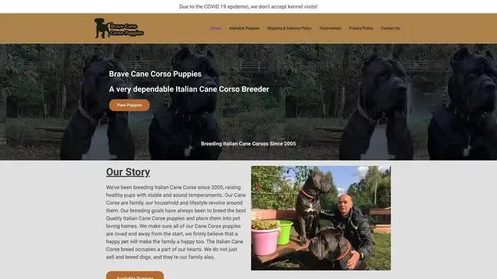Screenshot of