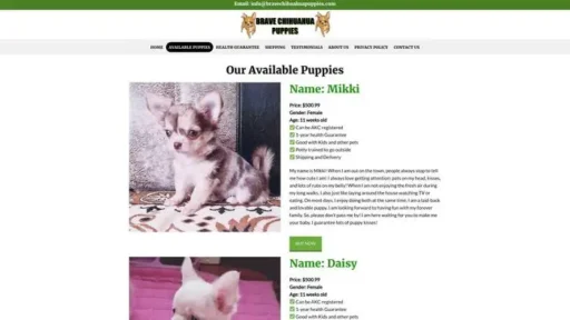 Screenshot of