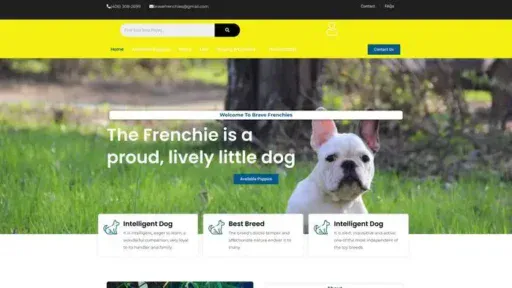 Screenshot of