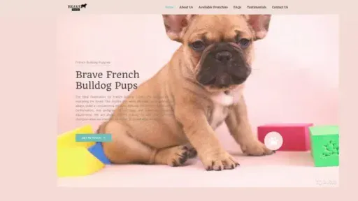 Screenshot of