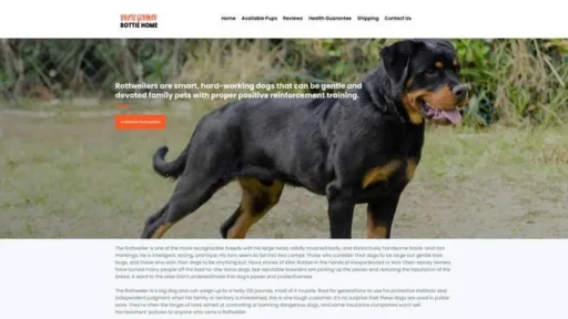 Screenshot of