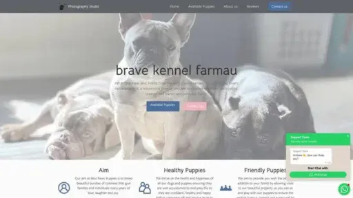 Screenshot of