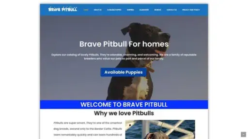 Screenshot of