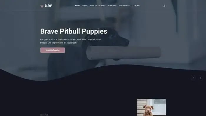 Screenshot of