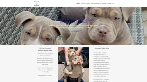 Screenshot of