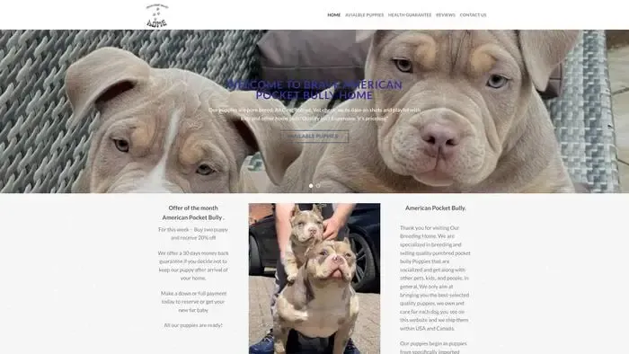 Screenshot of