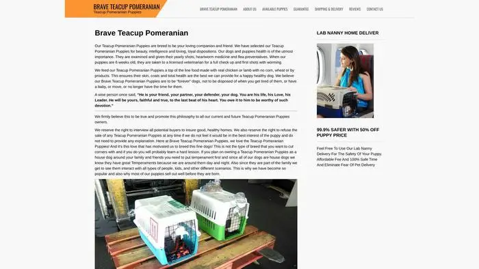 Screenshot of