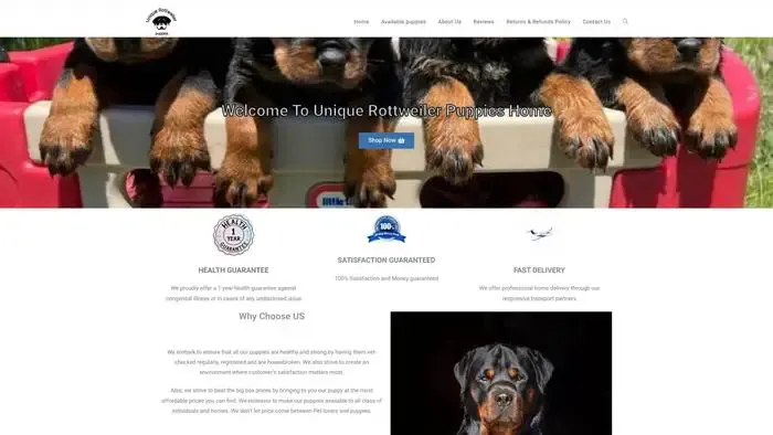 Screenshot of