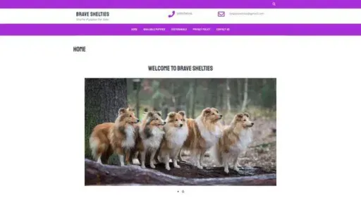 Screenshot of