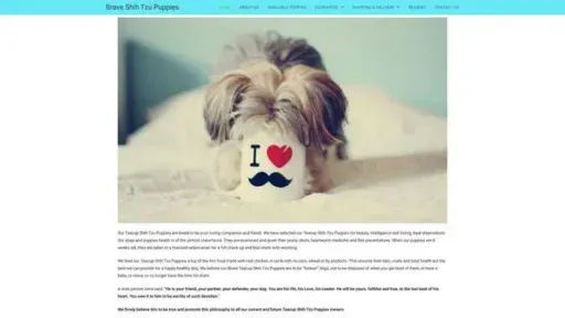 Screenshot of