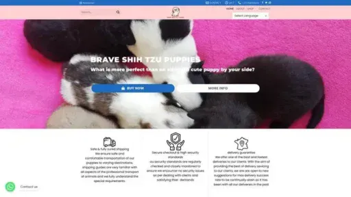 Screenshot of