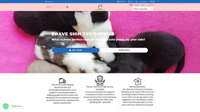 Screenshot of