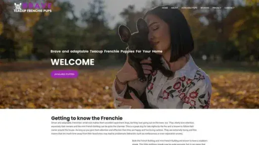 Screenshot of