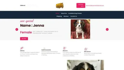 Screenshot of||