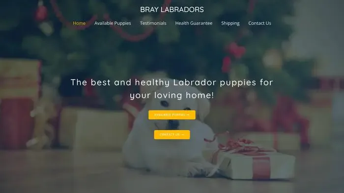 Screenshot of