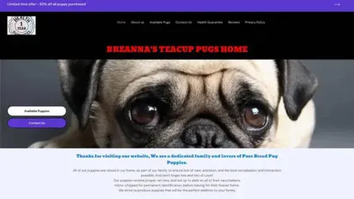 Screenshot of