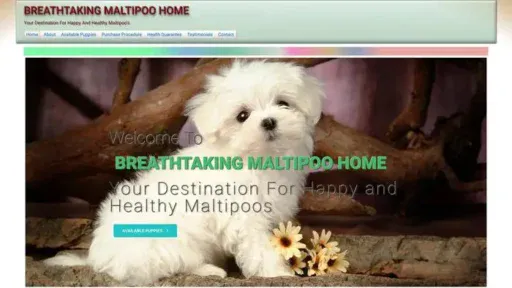 Screenshot of
